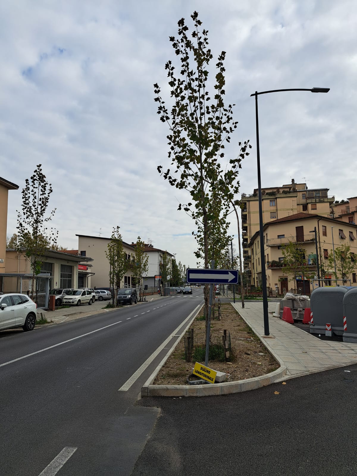 Riqualificazione urbana di un viale alberato
