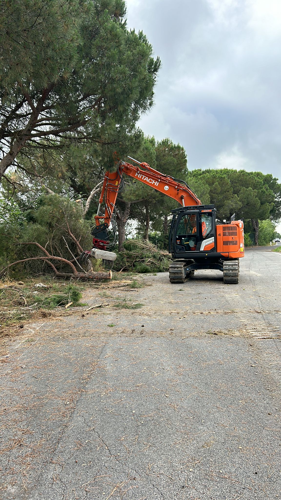 Operazioni di taglio di manutenzione su asset viari