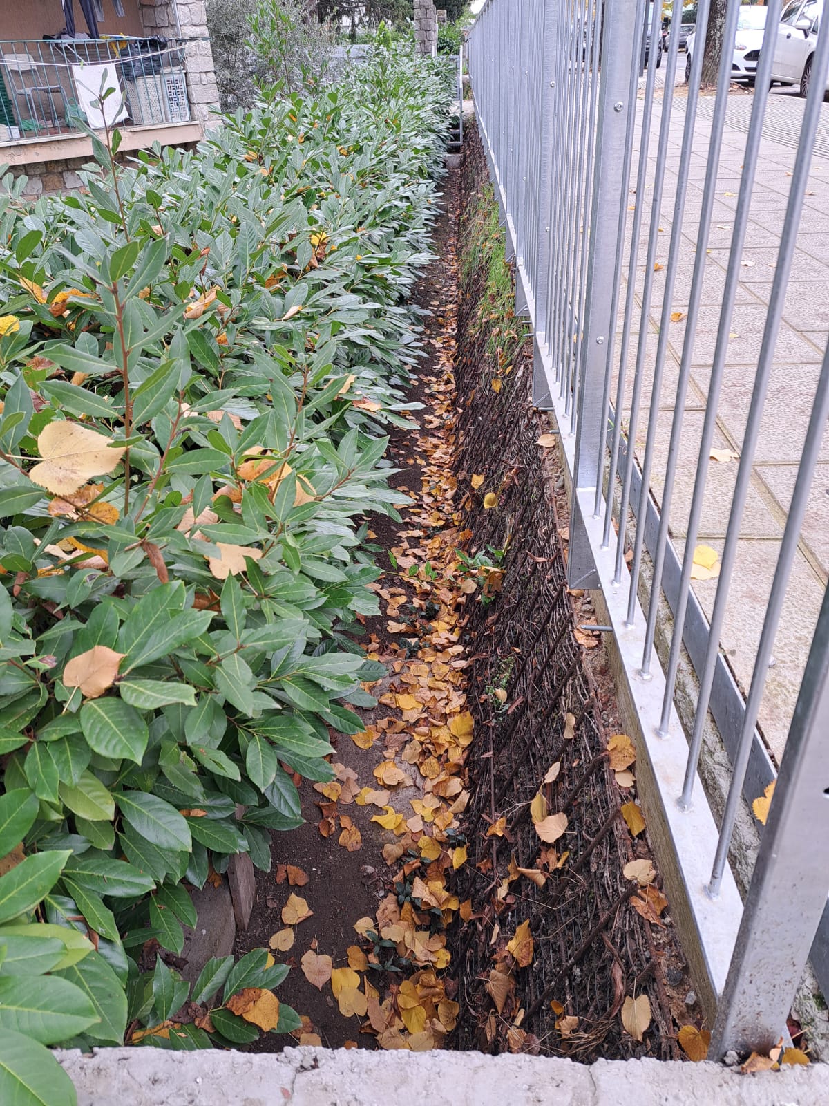 Riqualificazione urbana di un percorso pedonale con opere di ingegneria naturalistica.