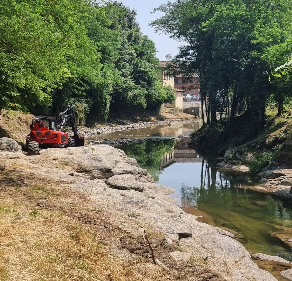 Ragno 3