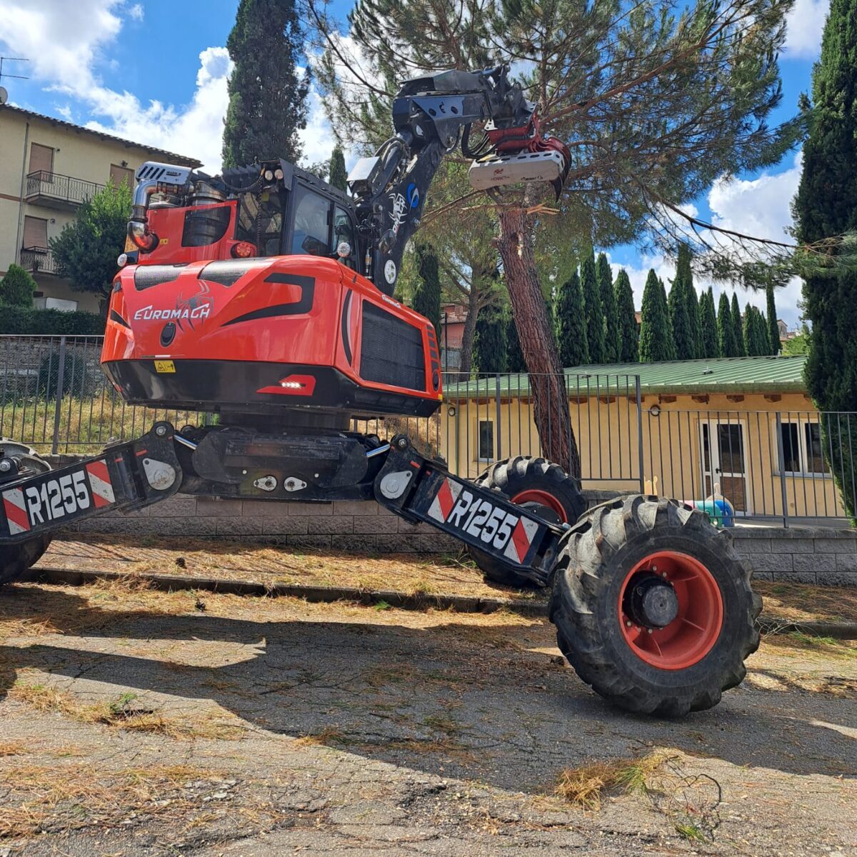 Sramatura pino medio 3