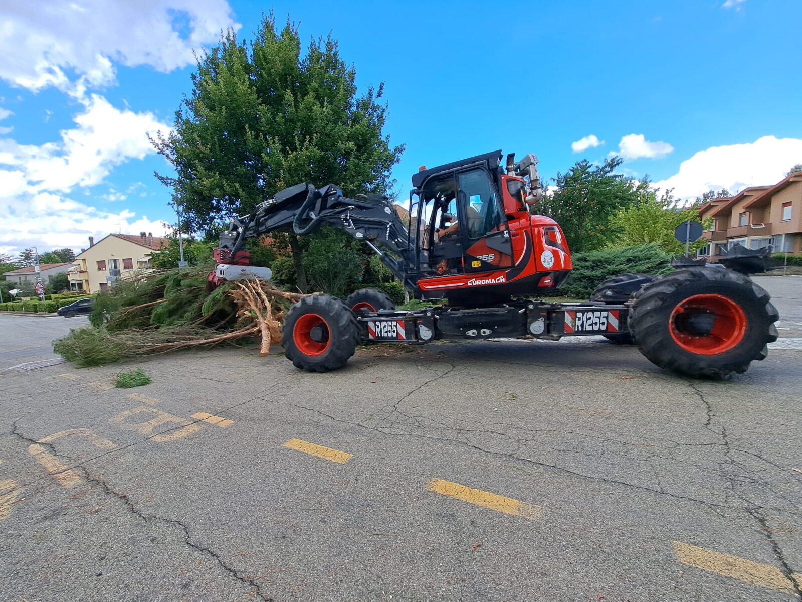 Abbattimento di piante di alto fusto in ambito urbano con ragno e testata abbattitrice